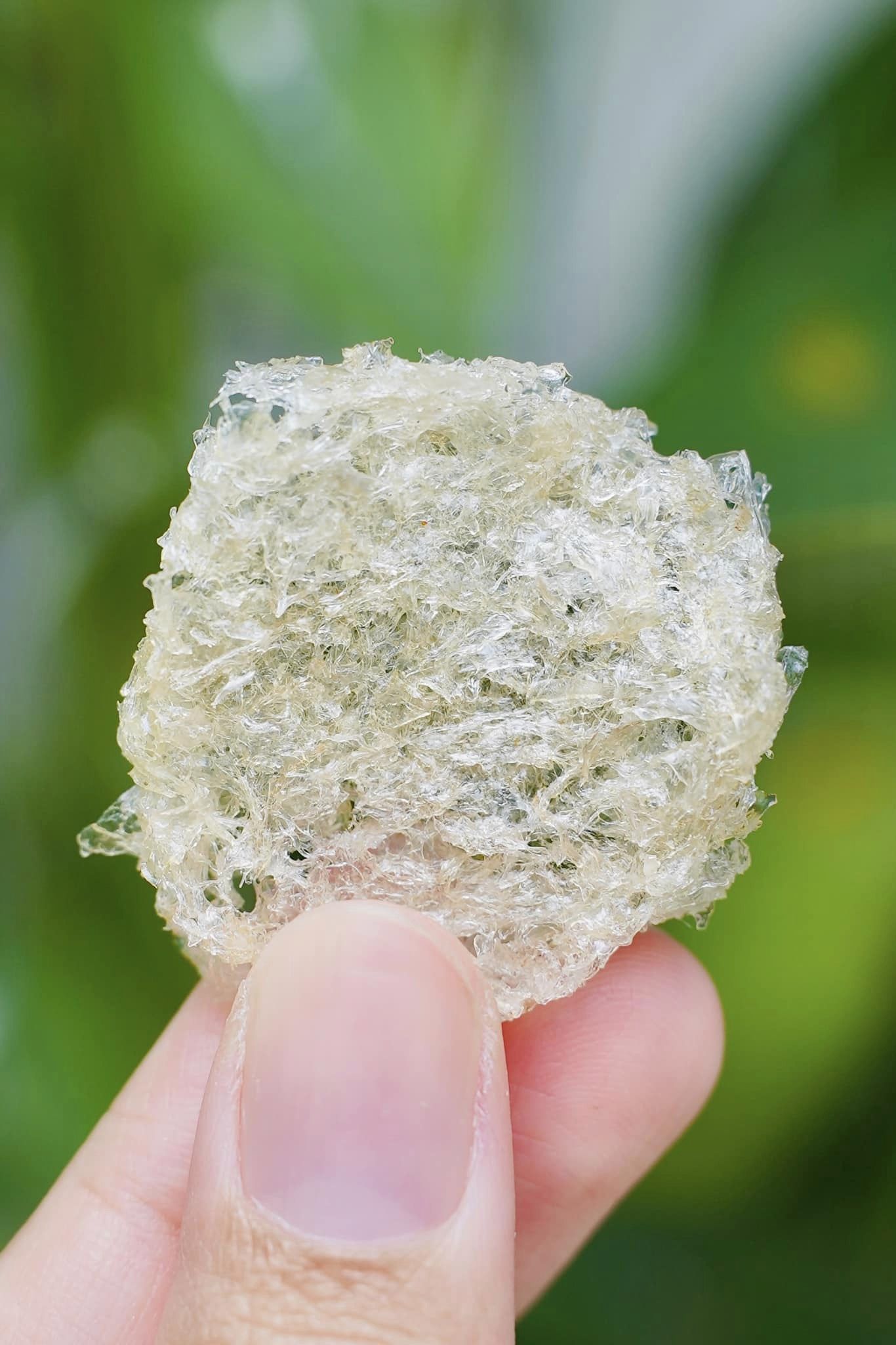 Yến vụn viên tinh chế